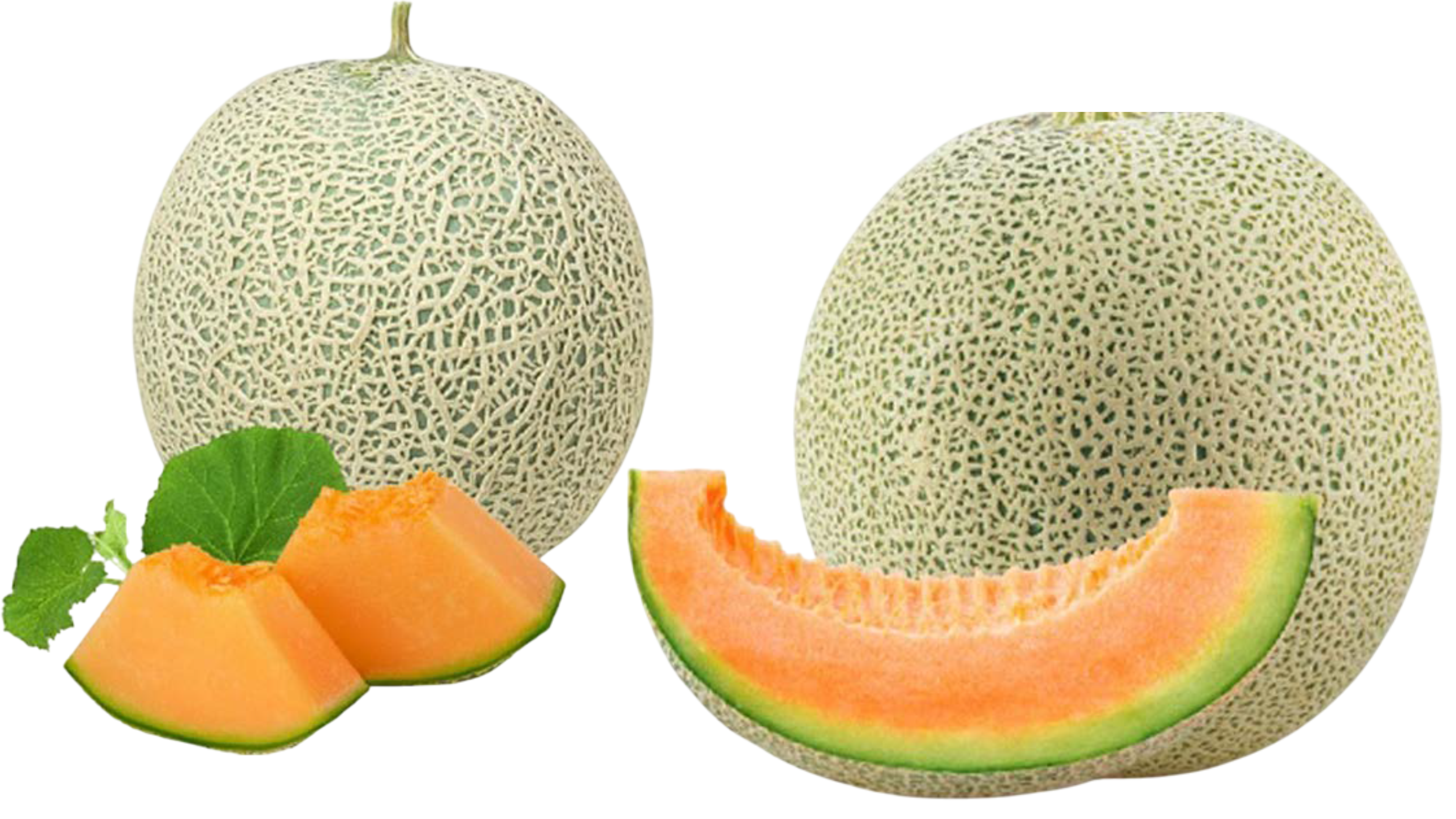 F1 Muskmelon